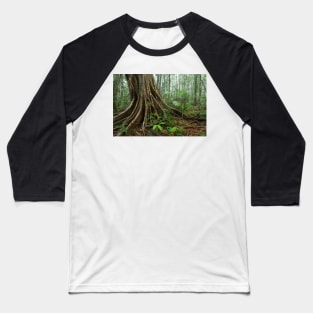 Rainforest, Mary Cairncross Park, Maleny Baseball T-Shirt